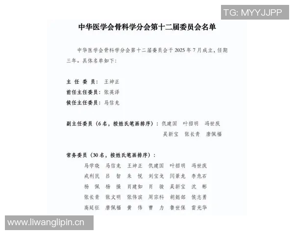 以团队合作为核心推动力共创成功路径与创新未来