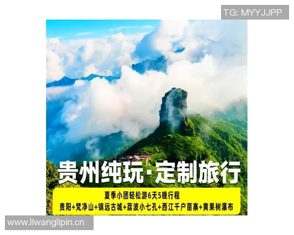 打造专属定制旅游体验，带您走进不一样的世界之旅